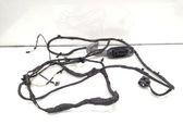 Front door wiring loom