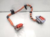 Other wiring loom