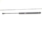 Tailgate/trunk strut/damper