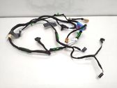 Front door wiring loom