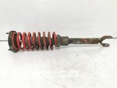 Front shock absorber with coil spring