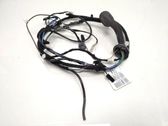 Tailgate/trunk wiring harness