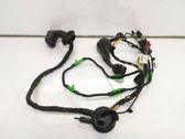 Front door wiring loom
