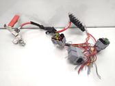 Positive wiring loom