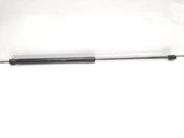 Tailgate/trunk strut/damper