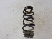 Rear coil spring