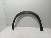 Fender trim (molding)