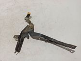 Engine bonnet/hood hinges