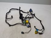 Front door wiring loom