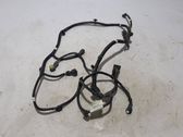 Parking sensor (PDC) wiring loom