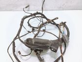 Rear door wiring loom