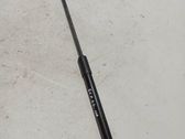 Front bonnet/hood damper/strut