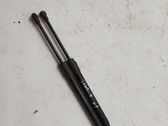 Front bonnet/hood damper/strut