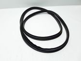 Rear door rubber seal (on body)