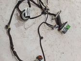 Faisceau de câblage de porte avant