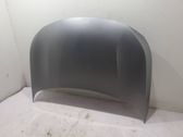 Engine bonnet/hood