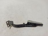 Engine bonnet/hood hinges