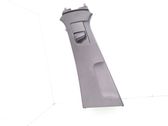 (B) pillar trim (top)