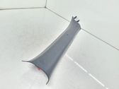 (A) pillar trim