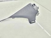 (C) pillar trim