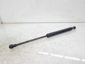 Front bonnet/hood damper/strut