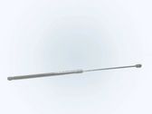 Front bonnet/hood damper/strut