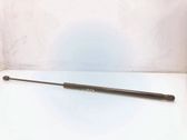 Front bonnet/hood damper/strut