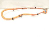 Other wiring loom