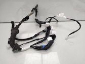 Front door wiring loom
