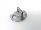 Rear door lock loop/hook striker