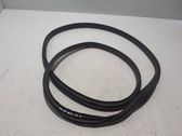 Front door rubber seal