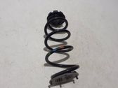 Rear coil spring