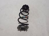 Rear coil spring