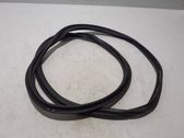Trunk rubber seal (body)