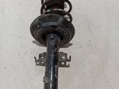 Front shock absorber/damper