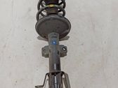 Front shock absorber/damper