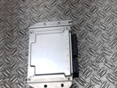 Engine control unit/module ECU