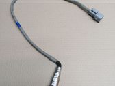 Sonde lambda
