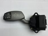 Indicator stalk