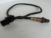 Sonde lambda