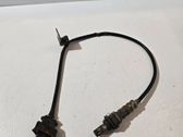 Sonde lambda