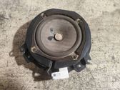 Rear door speaker