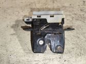 Tailgate/trunk/boot lock/catch/latch