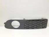 Front fog light trim/grill