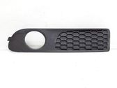Front fog light trim/grill