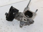 Electric throttle body valve