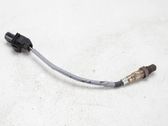 Sonde lambda