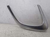 Other front door trim element