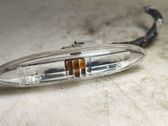 Front fender indicator light