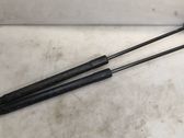 Tailgate/trunk strut/damper